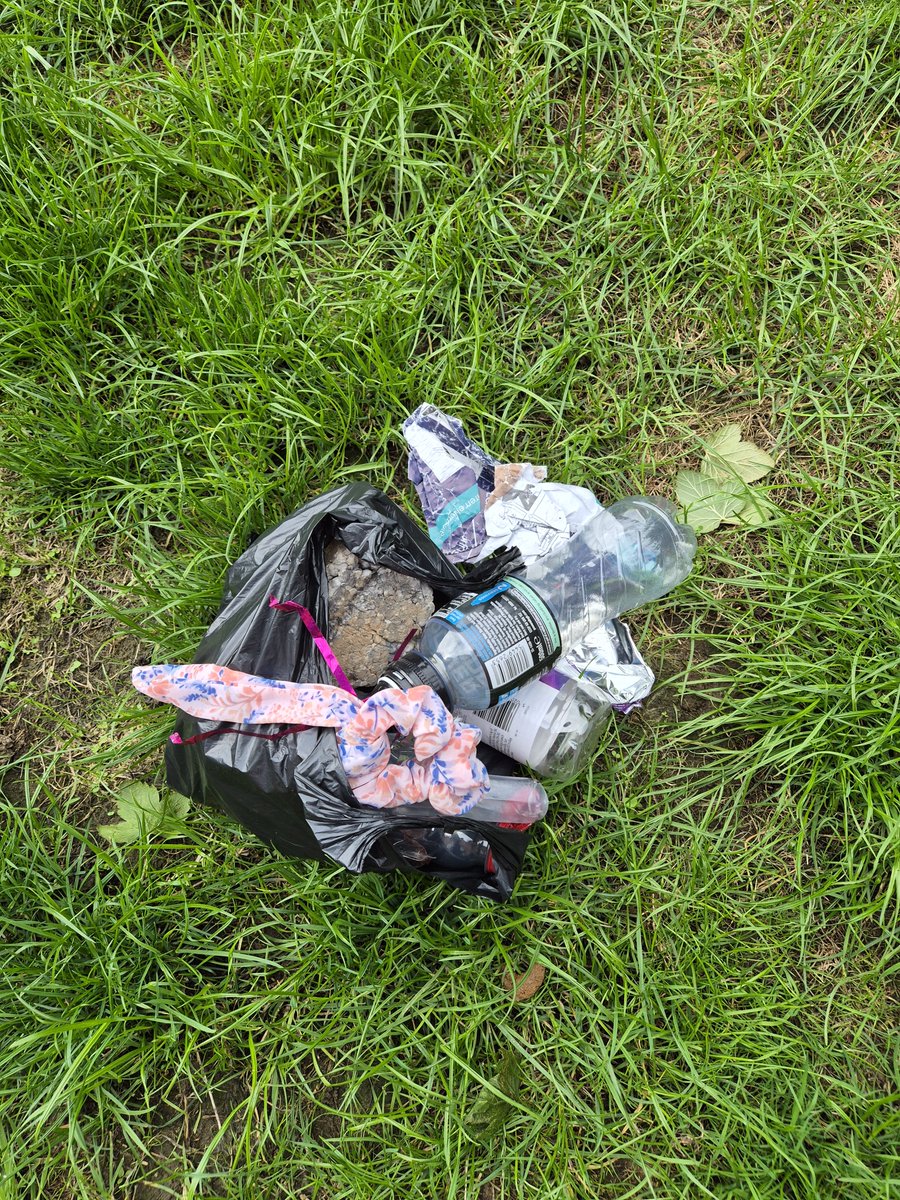 BBullrushes's tweet photo. 3 bags filled today. Our long pole came in handy for fishing bottles out of the hedgerow &amp; collected quite a selection of wine, beer &amp; spirit bottles, all thrown from cars! Birthday candles &amp; a huge firework. #NotABin #LoveWhereYouLive #Derby https://t.co/VB5RmetN9n