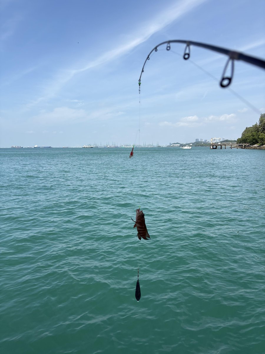YScisdIO's tweet photo. The sea fishing experience is delightful—at any given moment, you might just hook a fish. https://t.co/fYirXDmxqz