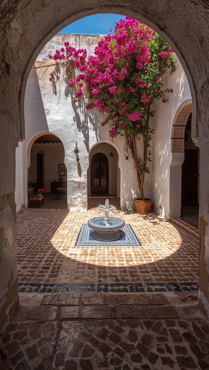 muslimpicture's tweet photo. Classic Andalusian courtyard https://t.co/oyEgHhYhWW