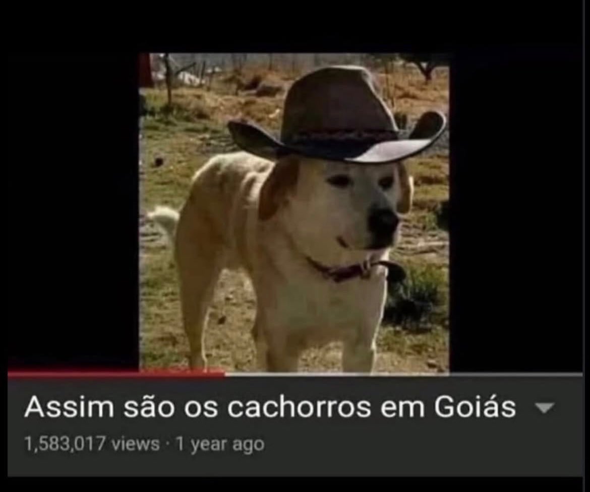 acervodoguinhos's tweet photo. https://t.co/z9wM9kG90O