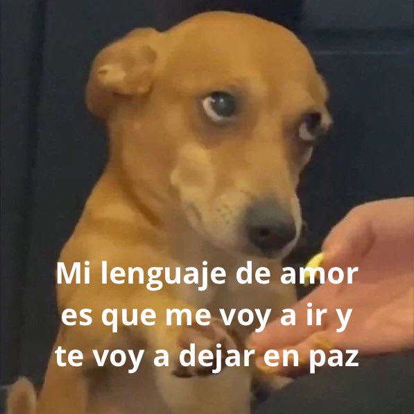 conoloracigarro's tweet photo. https://t.co/4NN7ekLCUh