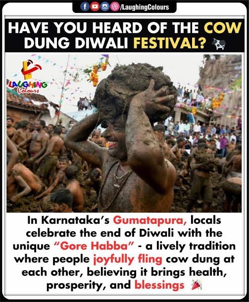 Ram_2468's tweet photo. HIV KANNAD SOOLEY MAGANS OBSESSION WITH 💩💩 POOP
NEVER ENDING STORY 🤢🤢🤢
#kannadogs #Gorehappa🤢🤢 https://t.co/7vib5BqCwG
