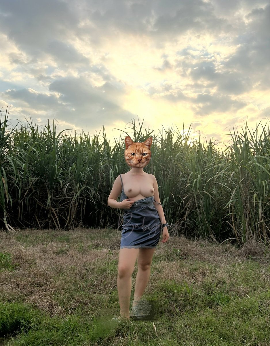 Jasper55655's tweet photo. ไอ่หน้าแมวว🙀 https://t.co/F58LFmBEH7