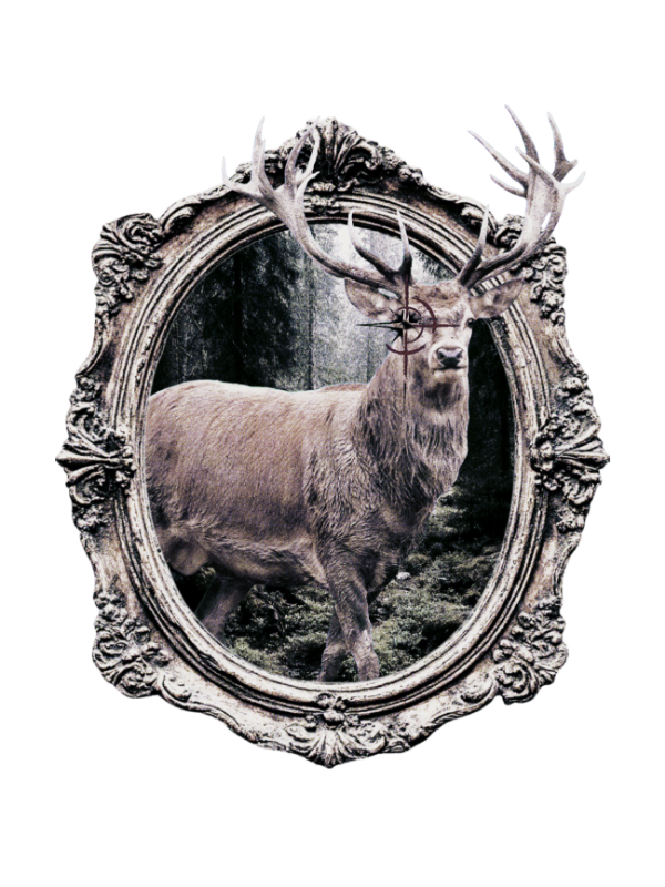 deercrosshair's tweet photo. https://t.co/DnhepOXyv8
