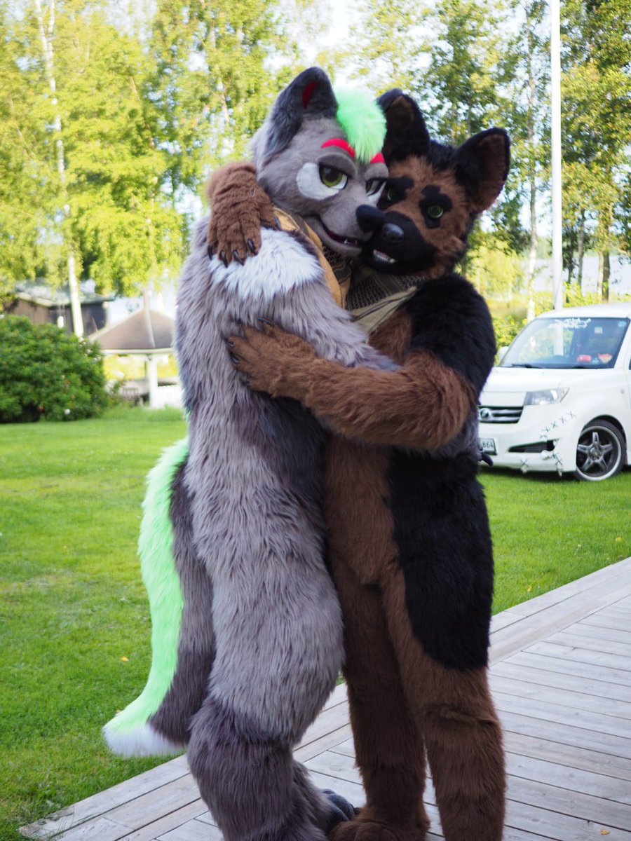 AcraWolf's tweet photo. Remember to give all the hugs to sheps on this #sheptember 💚

🦮 @vepshep

📸 @zukohi_alt https://t.co/gmnamre6Qg
