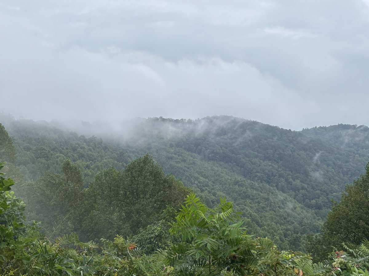 SemperHokie's tweet photo. amp, drizzly and foggy—perfect hiking conditions!

Good to get on the trail at Rendezvous Mountain this morning. https://t.co/sFNJkXEVJO