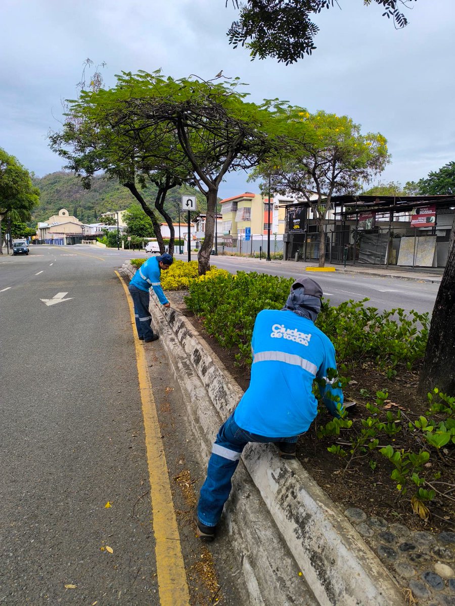 parquesgye's tweet photo. Intervenimos y recuperamos nuestros espacios públicos.
En esta jornada se realizaron labores de limpieza, poda, desbroce, riego y desalojo en:

📍 Calle 41 y Chambers
📍 Av. Víctor Emilio Estrada
📍 Av. Enrique Ortega
📍 Plaza Guayarte

Acciones que permiten conservar y mejorar nuestros espacios públicos para el disfrute de la ciudadanía.