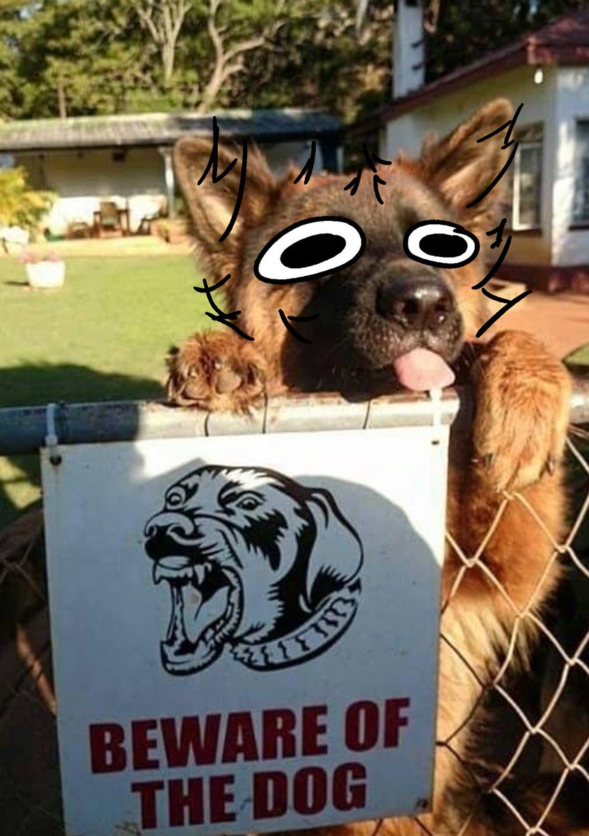 thecatidk's tweet photo. danger #dog #animal #art https://t.co/oywAdqORgc