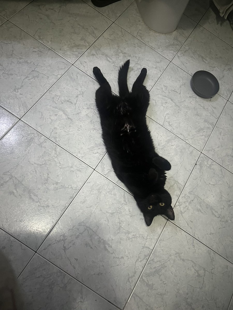 gzixi_'s tweet photo. living their best life https://t.co/GbhGn6UBAm