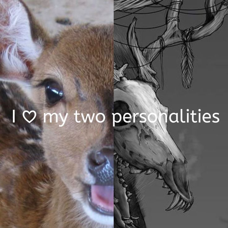 deershouldnt's tweet photo. https://t.co/8XEKecDYL7