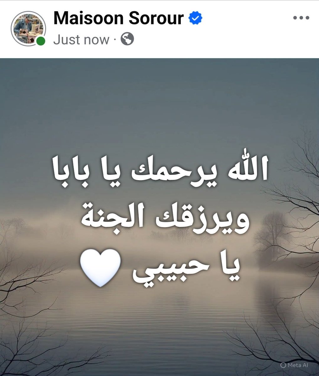 MaisoonSorour's tweet photo. الله يرحمك يا حبيبي 🤍
#ميسون_سرور https://t.co/YlzJCv4Ztl
