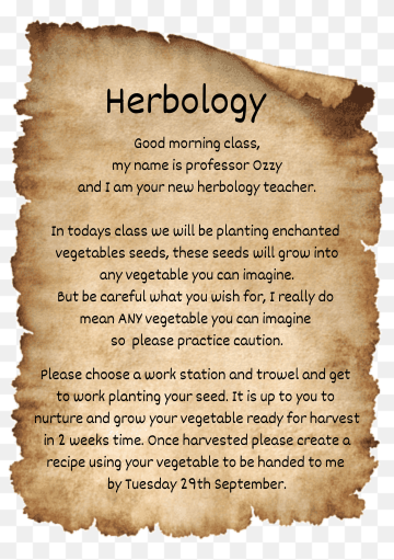 JellyOzzy's tweet photo. Good meowning class, please take mew seats. I hope mew had a restful summer break, today we are learning about enchanted vegetables. Purrlease pay attention, der will be homework to be handed in Tuesday 29th #Mogwarts #MWHomework https://t.co/GdWYJ8sSgw