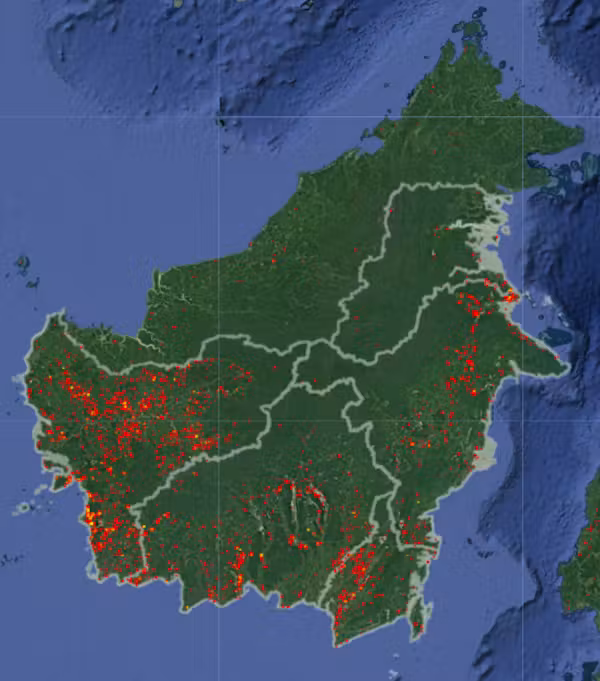 ECOWARRIORSS's tweet photo. The Borneo rainforest is estimated to be 130 to 140 million years old, making it one of the oldest surviving rainforests on Earth
Its a fire resistant rain forest
But they have  killed it, drained it, bulldozed it, poisoned it and burned it down
So what remains is now on fire https://t.co/irvbnkMoCN
