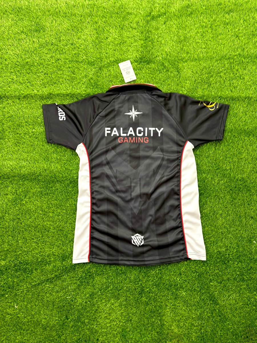 FalacityGaming tweet picture