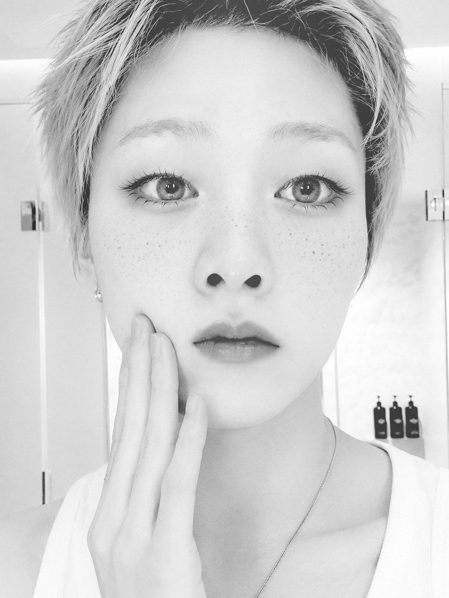 petalrryan's tweet photo. ᅠᅠ https://t.co/vekiIEYcvR