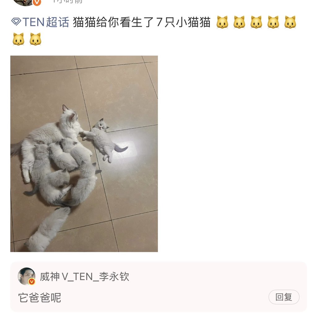 TENzenter's tweet photo. 260907  #TEN Weibo QnA 

Q: น้องแมวคลอดลูกมาเจ็ดตัว เอามาให้เตนล์ดูค่ะ 
🐱: ปะป๊าน้องไปไหนครับ

#TEN_OUTWEST
#เตนล์ #텐 #TEN #TENLEE #李永钦 #テン https://t.co/slfgnuzkuU
