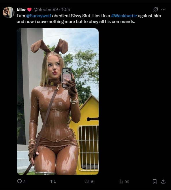 SunnyW0lf's tweet photo. I have defeated @bloobel99 and made him into an obedient Sissy in a #Wankbattle but hes so pathetic he isn't even able to tag the right Person. Make sure to Embarass and Degradate him https://t.co/dwQkSPM4u7