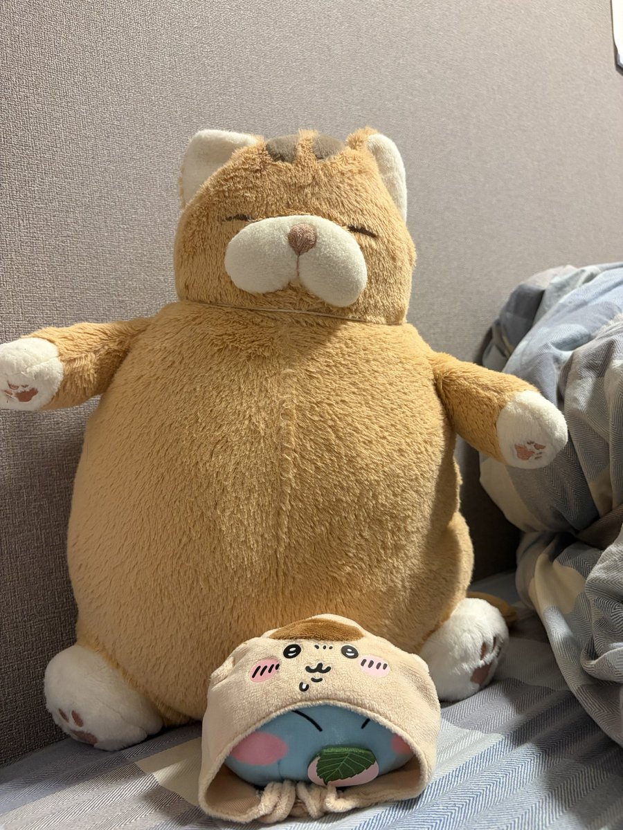 samisika21's tweet photo. https://t.co/GCmcxSIrOi