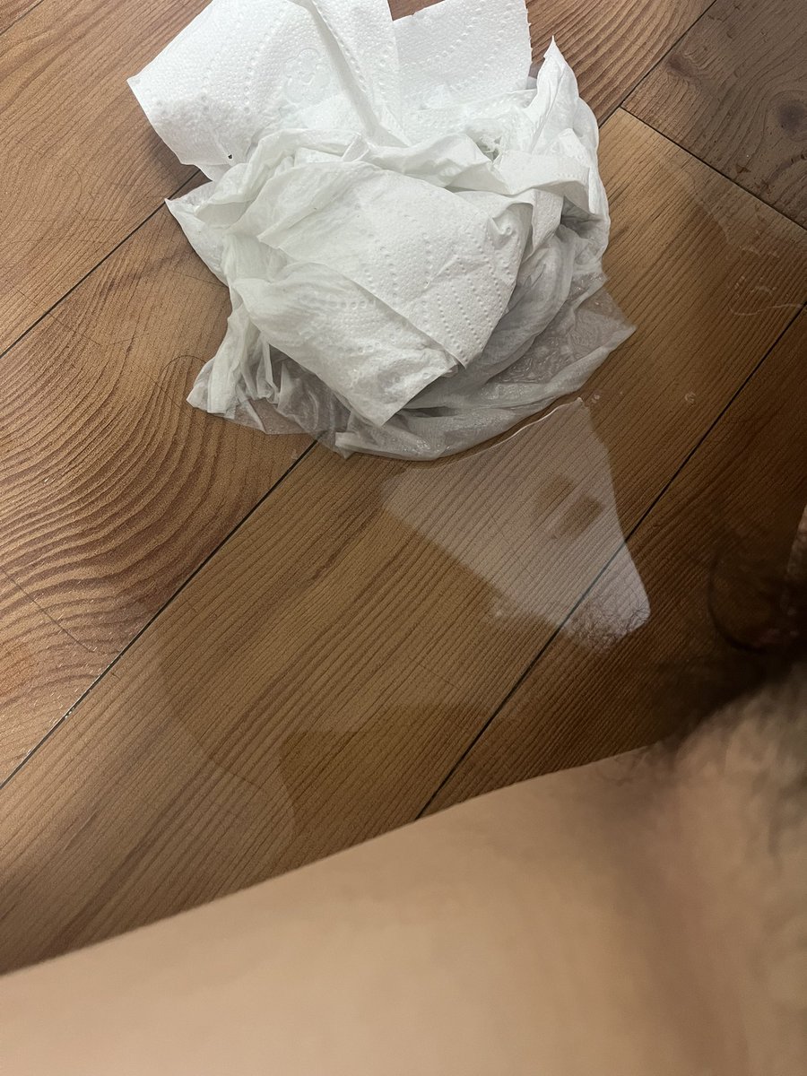 naun3429's tweet photo. 늉늉늉 https://t.co/b7YRiUIZLP