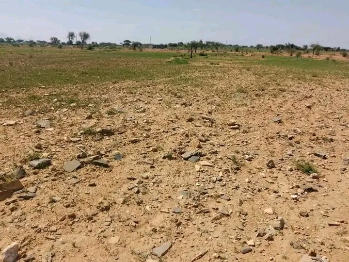 Saymen_mehari's tweet photo. 📍 ABERGELE YECHILA | SIYE
🚨 TWICE IN FOUR YEARS—SIYE FACES ANOTHER DEVASTATING DROUGHT.
Crops are failing. Livelihoods are at risk. Families need urgent support.
🌍 GOVERNMENT, HUMANITARIAN AGENCIES & DONORS: ACT NOW.
#AbergeleYechila #Siye #Tigray #DroughtEmergency https://t.co/OUjY5UChXS