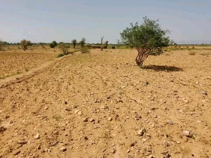 Saymen_mehari's tweet photo. 📍 ABERGELE YECHILA | SIYE
🚨 TWICE IN FOUR YEARS—SIYE FACES ANOTHER DEVASTATING DROUGHT.
Crops are failing. Livelihoods are at risk. Families need urgent support.
🌍 GOVERNMENT, HUMANITARIAN AGENCIES & DONORS: ACT NOW.
#AbergeleYechila #Siye #Tigray #DroughtEmergency https://t.co/OUjY5UChXS