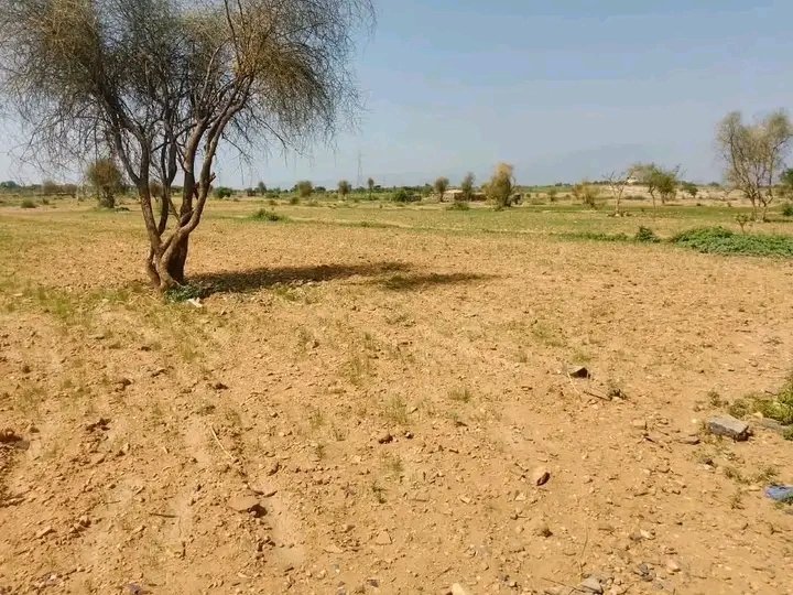 Saymen_mehari's tweet photo. 📍TIGRAY_drought
💔🚨 TWICE IN FOUR YEARS—ANOTHER DROUGHT IS THREATENING FAMILIES.
Crops are failing. Livelihoods are disappearing. Vulnerable families need help now.
🌍 DON’T LOOK AWAY. ACT NOW. STAND WITH SIYE.
#Siye #Tigray #DroughtEmergency #HumanitarianCrisis https://t.co/NLTw6hHrT0