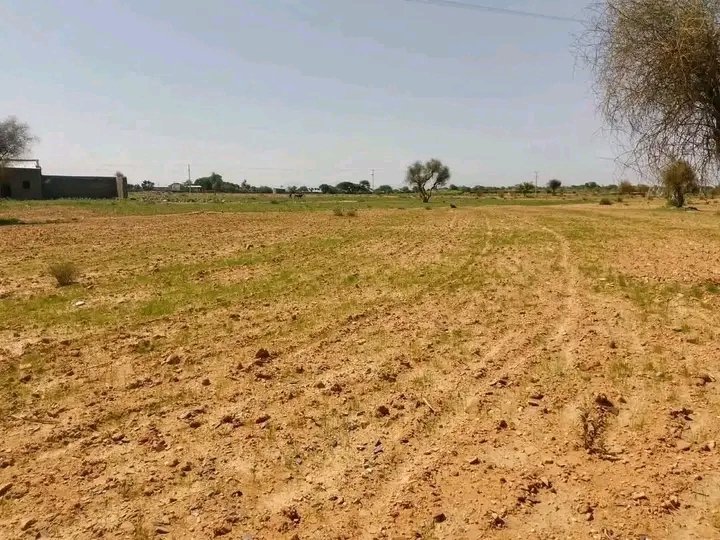 Saymen_mehari's tweet photo. 📍TIGRAY_drought
💔🚨 TWICE IN FOUR YEARS—ANOTHER DROUGHT IS THREATENING FAMILIES.
Crops are failing. Livelihoods are disappearing. Vulnerable families need help now.
🌍 DON’T LOOK AWAY. ACT NOW. STAND WITH SIYE.
#Siye #Tigray #DroughtEmergency #HumanitarianCrisis https://t.co/NLTw6hHrT0