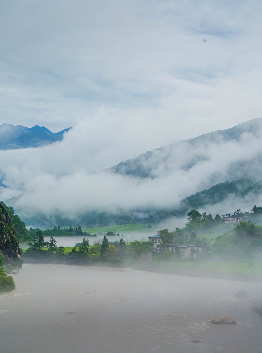 kaiugh_vd's tweet photo. Punakha,Bhutan in the morning feels truely magical 💚 https://t.co/qr3cVwBgRP