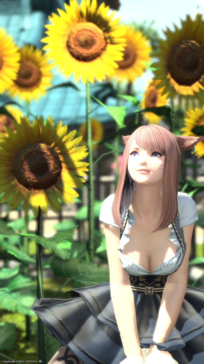 setsuna20250528's tweet photo. シンプルストレートやっととれたね🎉
#ミコッテ #FF14 #FF14SS https://t.co/rk1u1mgtOp