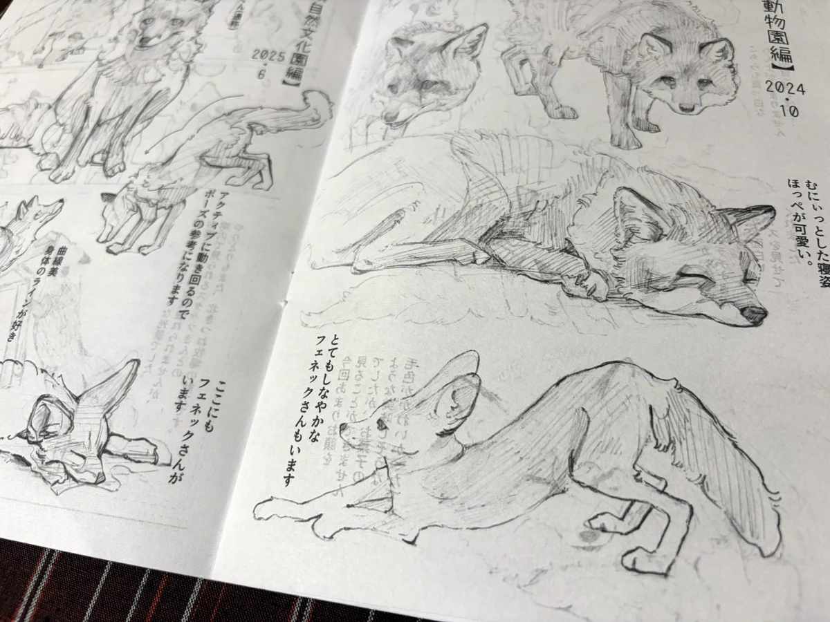 水凍🦊9/13名ティア【D-34】9/19神使幻獣展 on X: 