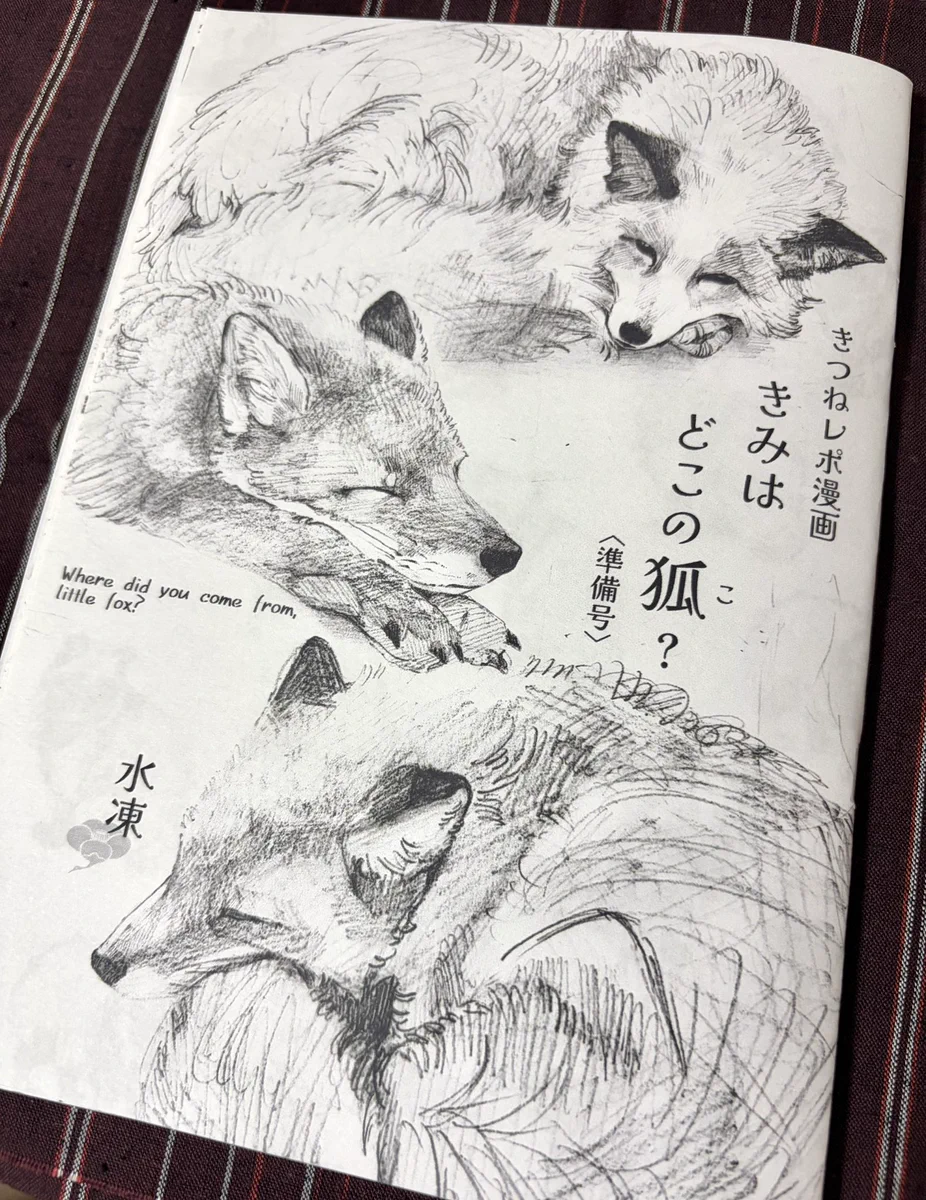 狐の鉛筆画 水凍🦊9/13名ティア【D-34】9/19神使幻獣展 on X: 