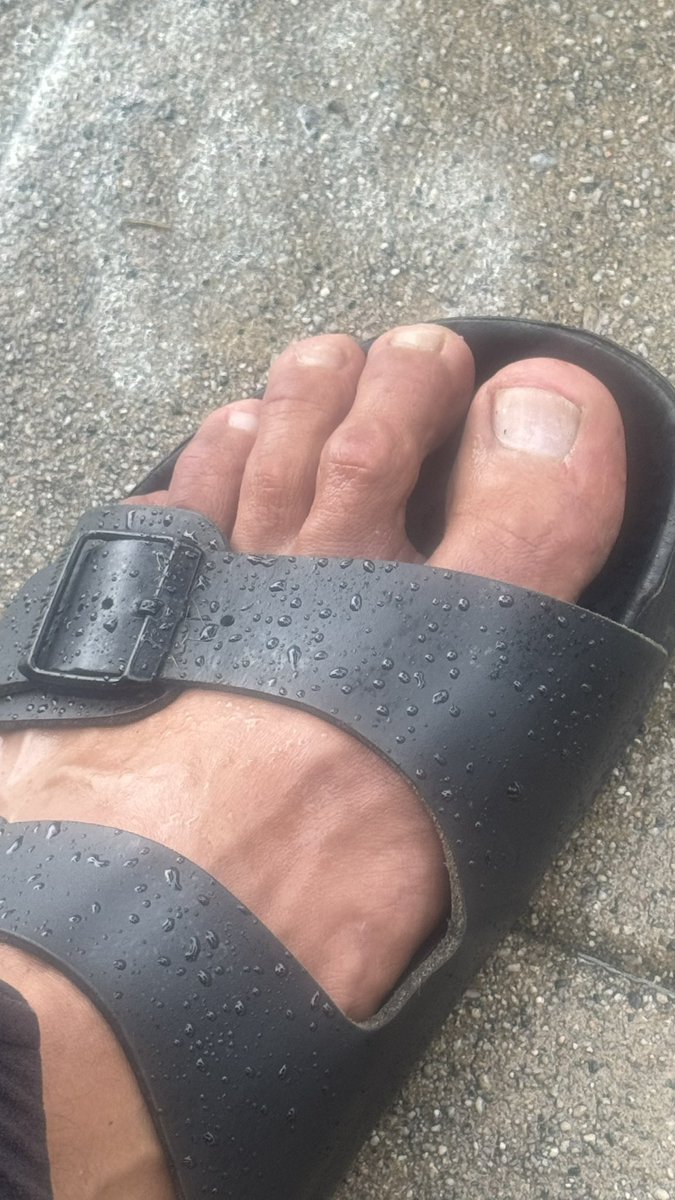 ProFlexFeet's tweet photo. Post Training Rainy Day! Follow me for more #Rugged #MaleFeet #FeetFetish #MuscleFeet #MaleFeetinBirkenstock #leatherfetish https://t.co/EirjnYHasT