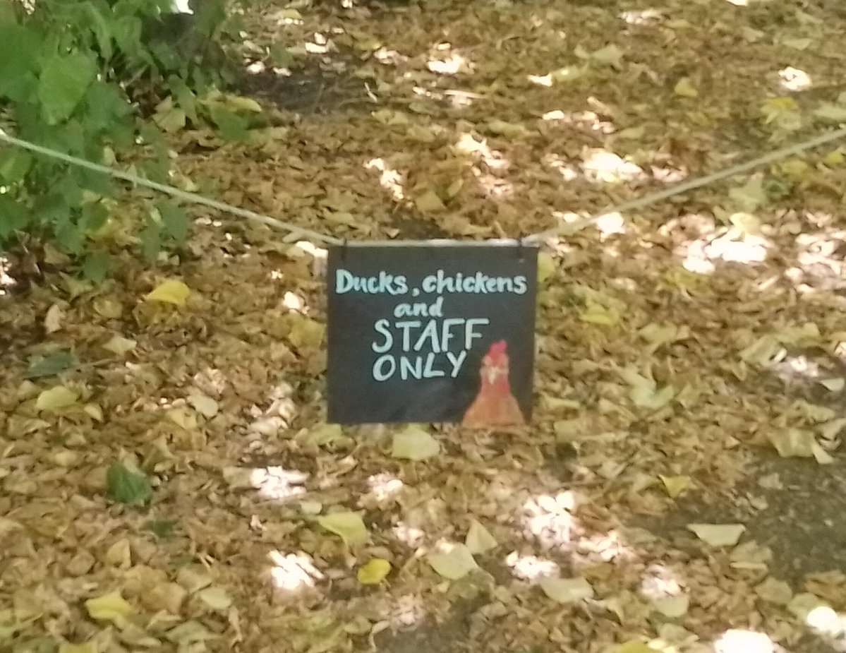 PhilsPlot's tweet photo. Seen at Coton Manor in Northamptonshire #alphabetchallenge #WeekJforJocular https://t.co/x6HNuHPmGI