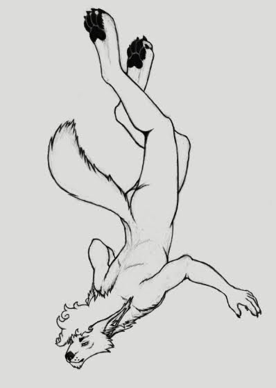 Naximo03's tweet photo. quality is shit bc this is a super old screenshot of a drawing i made on my old laptop, it's one of my fav anatomy practices tho
#furryartㅤㅤㅤ 
#OCart
#furryㅤㅤㅤ 
#digitalartㅤㅤㅤㅤ https://t.co/l5Boq2610F