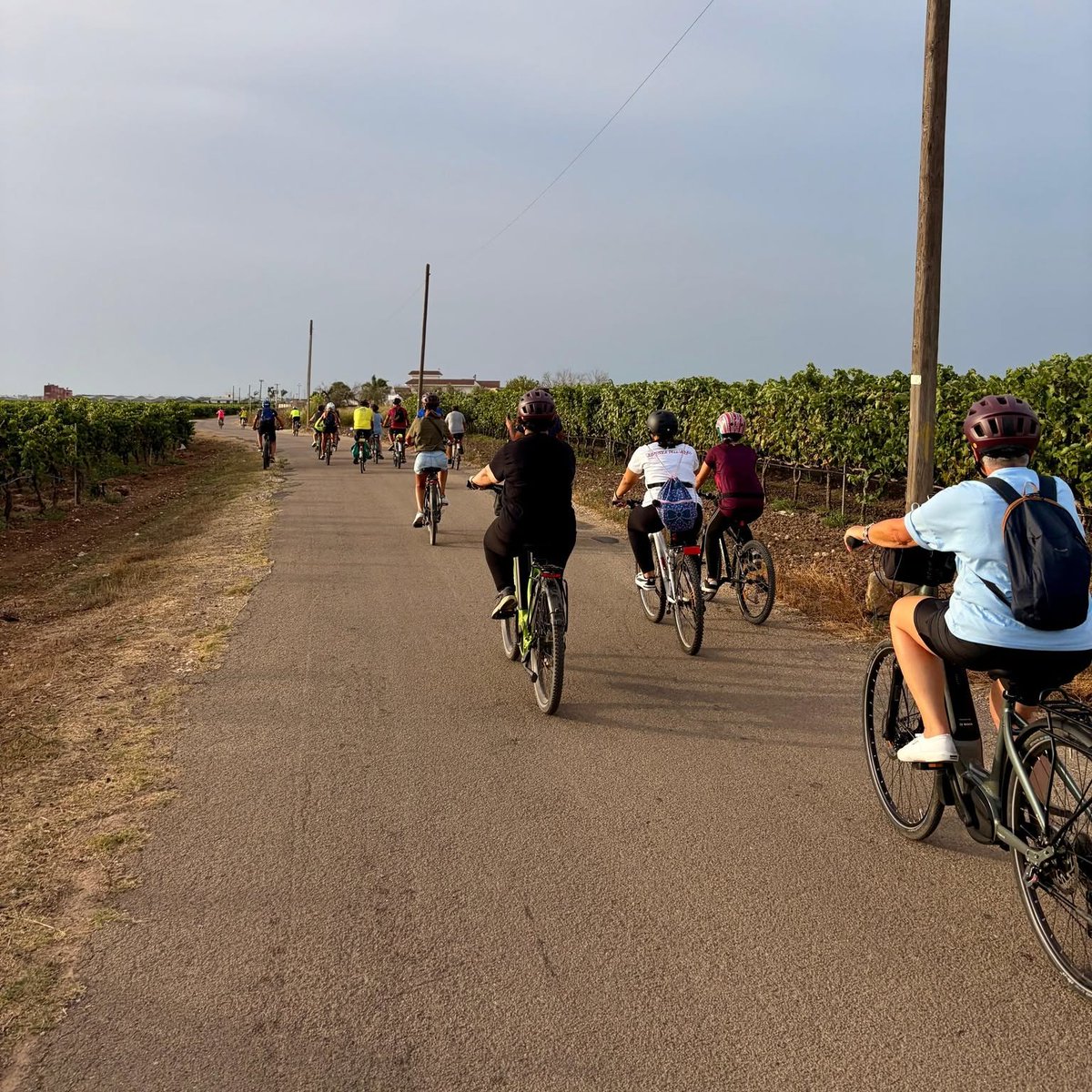 InfoLeverano's tweet photo. In bici tra le vigne: la bellezza della Terra d’Arneo 📷📷

Oggi vi portiamo virtualmente tra le campagne di Leverano con gli scatti di questa splendida cicloescursione! 📷 https://t.co/Yvt94ZNl56