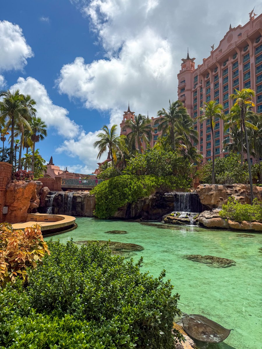 celiiimar's tweet photo. Woke up in paradise and I’m never leaving 🌺🌴 #bahamas https://t.co/ZrVkztqDlA