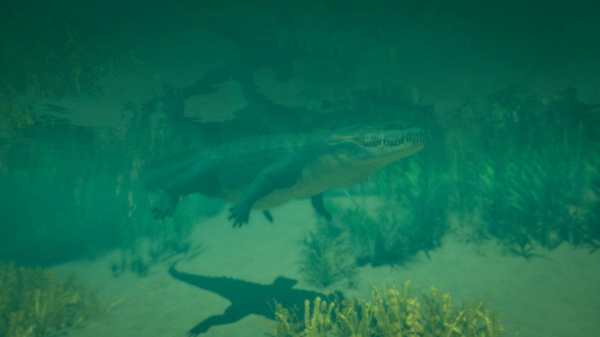 TheStrandedDeep's tweet photo. POV: Going for a quick swim to cool down, look up and see... what's your next move?
Wishlist SD2 now: https://t.co/teSfcaqty1 
#strandeddeep2 #sd2 #howfarwillyougo https://t.co/i3JcrD6qvb