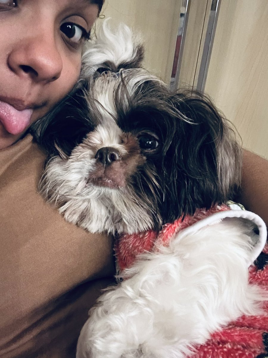 divaalovers_'s tweet photo. minha companhia no frio pra ver.@DivaDepressao 🥹💗💚 https://t.co/hinhpTKQI1