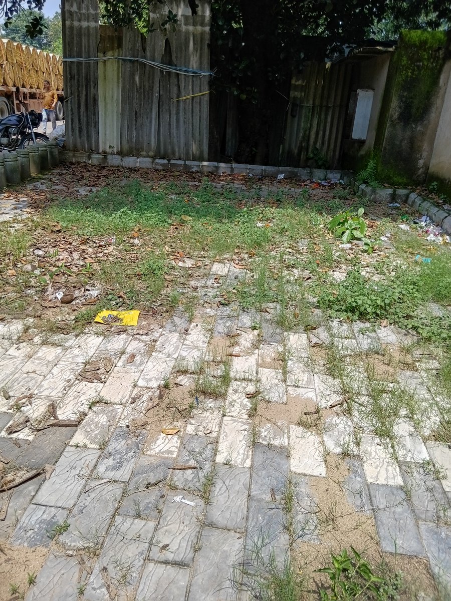 johnsethiBJP's tweet photo. ୱାର୍ଡନମ୍ବର 47 ମଧ୍ୟ ଭୁବନେଶ୍ୱର ମୁନ୍ସିପାଲିଟି କର୍ପୋରେସନର  ଗୋଟେ ଗୁରୁତ୍ୱପୂର୍ଣ ଅଞ��ଚଳ ପାୱାର ହାଉସ କଲୋନୀ ସେଅଞ୍ଚଳକୁ ସଫେଇକର୍ମଚାରୀ 15 ଦିନକୁ ଥରେ ଯାଉଛନ୍ତି ଆଜକୁ 3 ମାସହେବ ଅଳିଆ ଆବର୍ଜନା ପଡିରହିଚି ଏହିଅଞ୍ଚଳ ପ୍ରତିଟିକେ ଦୃଷ୍ଟି ଦିଅନ୍ତୁ 
@MohanMOdisha
@bmcbbsr
@Sulochana_Apa https://t.co/dKyGrNTQ3g