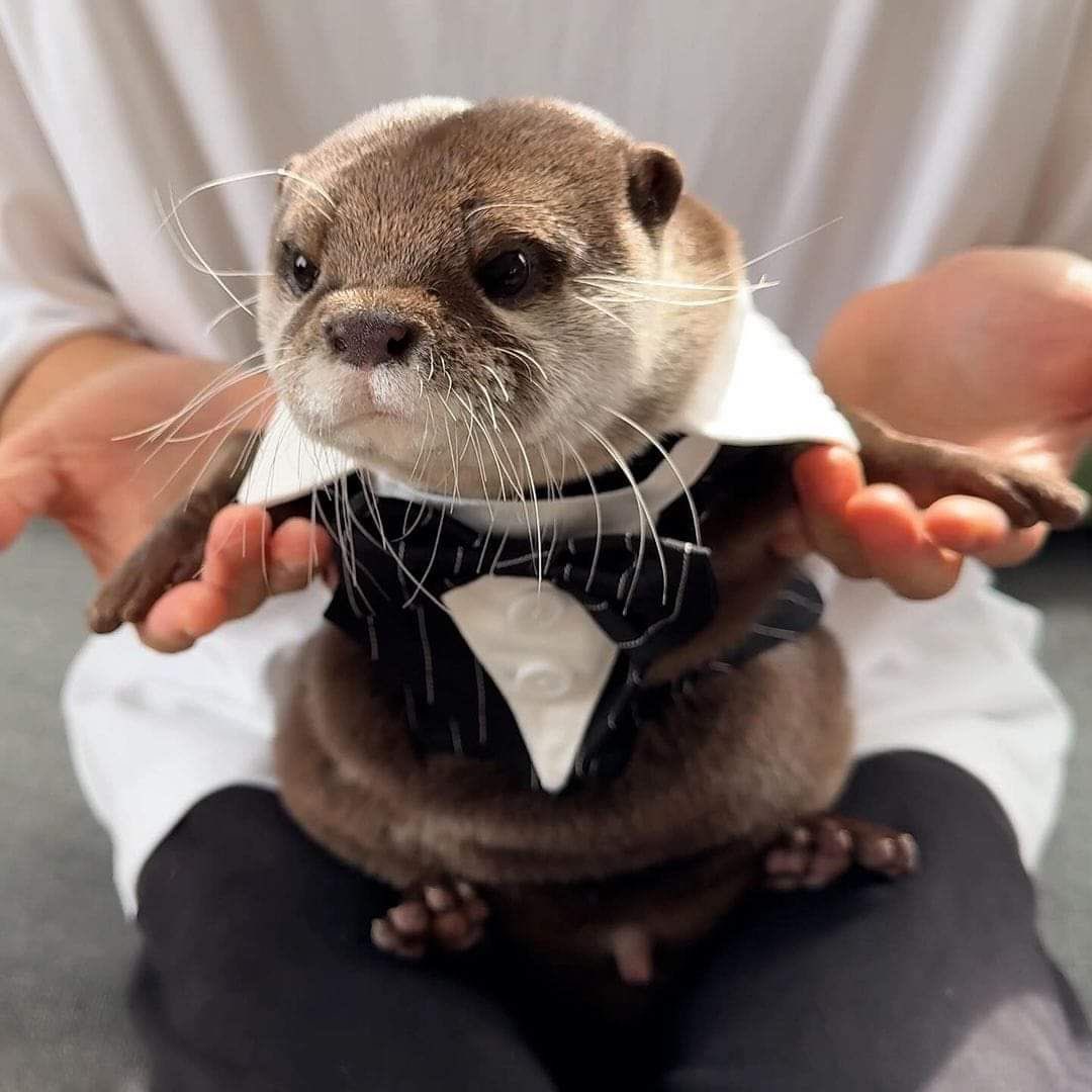 CharlieCoxtters's tweet photo. https://t.co/z0HPeI9mro