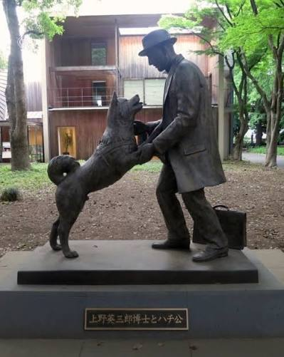 LeoDaVinciWave's tweet photo. In 1925, Hachikō lost his owner, Professor Hidesaburō Ueno. 
But Hachikō didn’t know he was gone.
For nearly 10 years, the Akita returned to Tokyo’s Shibuya Station, waiting for the man who would never walk through those doors again.
He died in 1935.
The man never returned.
Hachikō never stopped waiting.
A century later, his statue still stands at Shibuya Station a monument to a loyalty the world refused to forget.