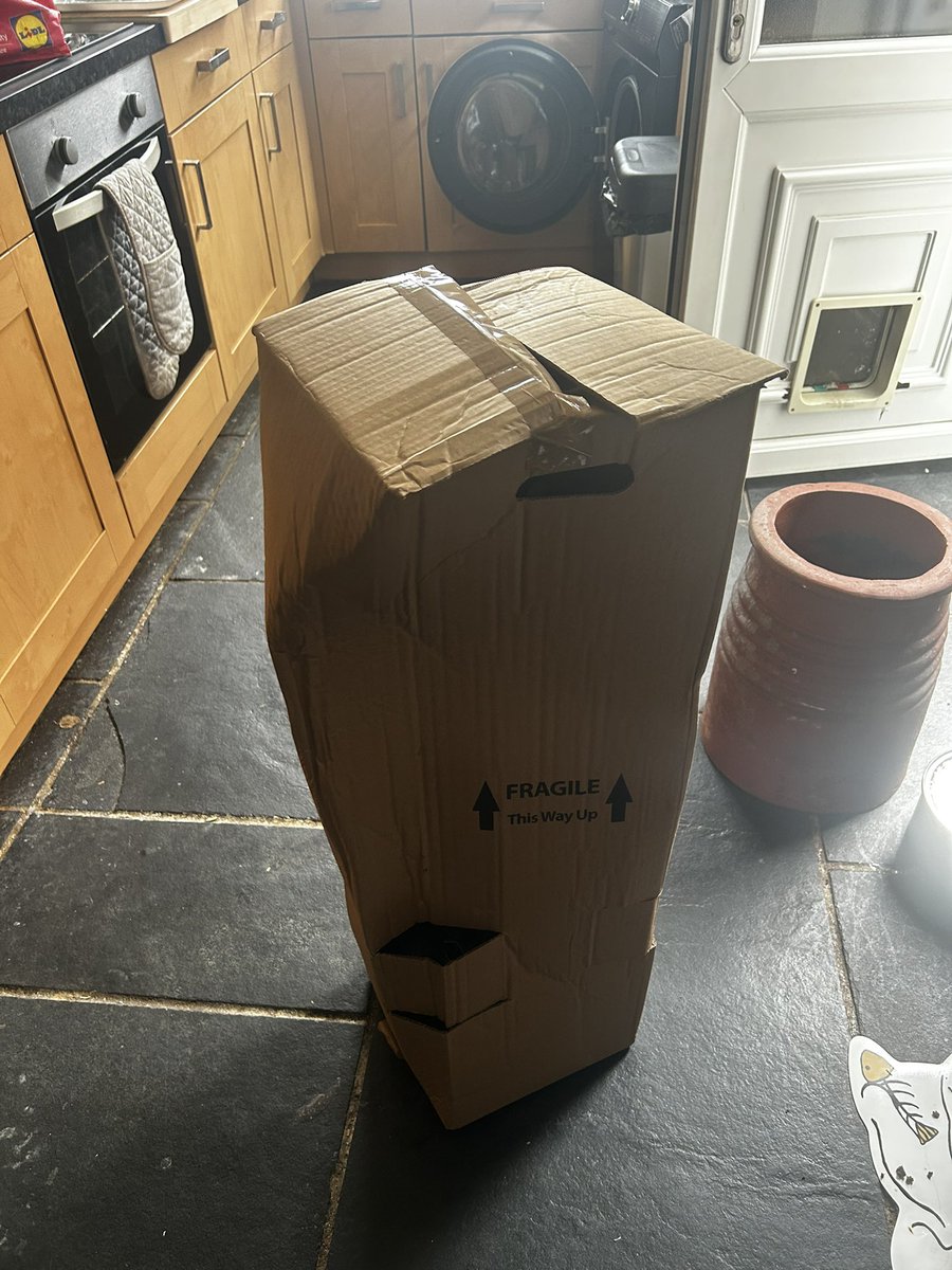 Dazzy75's tweet photo. @qvcuk sad to see the state of the Azalea I bought from you! Obviously the delivery company don’t care but you put zero thought or effort in to protecting this! Disappointed!! https://t.co/HodBCHLhtP