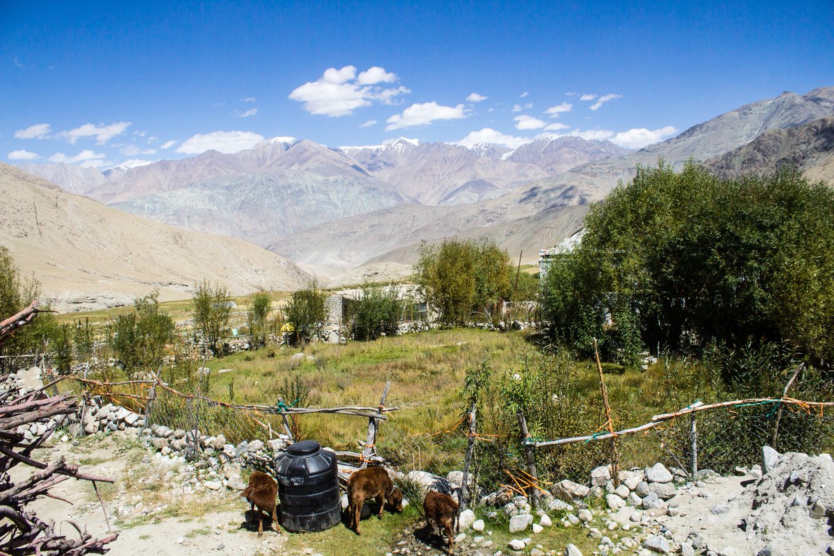 ice_leh's tweet photo. The PHED‑Leh team successfully celebrated Jal Arpan Diwas under JJM initiative in the remote village, of Khema-Khanru-31 FHTCs were handed over, marking a milestone in community‑led water management. The team emphasized positive aspects of local responsibility.@DC_Leh_Official https://t.co/lvu9fRFMdi