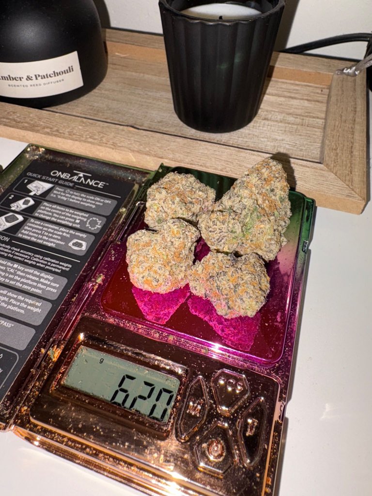 BonneweedFrance's tweet photo. Salam la famille ! Tu attends quoi pour chopé ta #beuh #weed #3mmc #shit etc.. tonton Pablo te donne une réduction p après ta command
Dispo sur paris Nantes,Lille ,Lyon, Marseille, Nice et autres villes 
Télégram: https://t.co/N4jSThzOhk

https://t.co/fFaTolAkNk https://t.co/CO1ND8rFj0