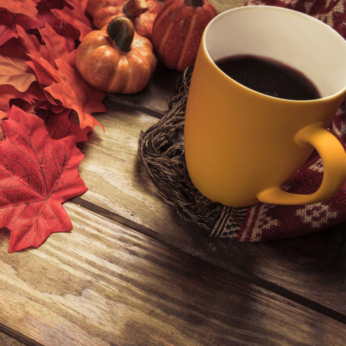 FatmaDemir1fmj's tweet photo. [Fresh autumn breeze + pumpkin spice latte = perfect mid-week pick-me-up ] https://t.co/AxAI7BBIni