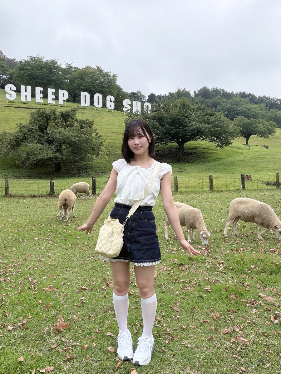 yui_sukiiro's tweet photo. Q:ひつじは何匹いるでしょう🐏 https://t.co/0PHhgxvvgk