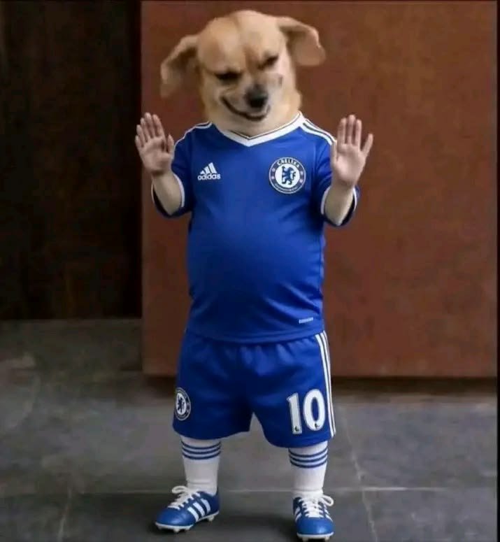 MASTERCHESCO's tweet photo. @HullCity @premierleague Chelsea admin don bookmark this one https://t.co/6ZBoIIYuHp