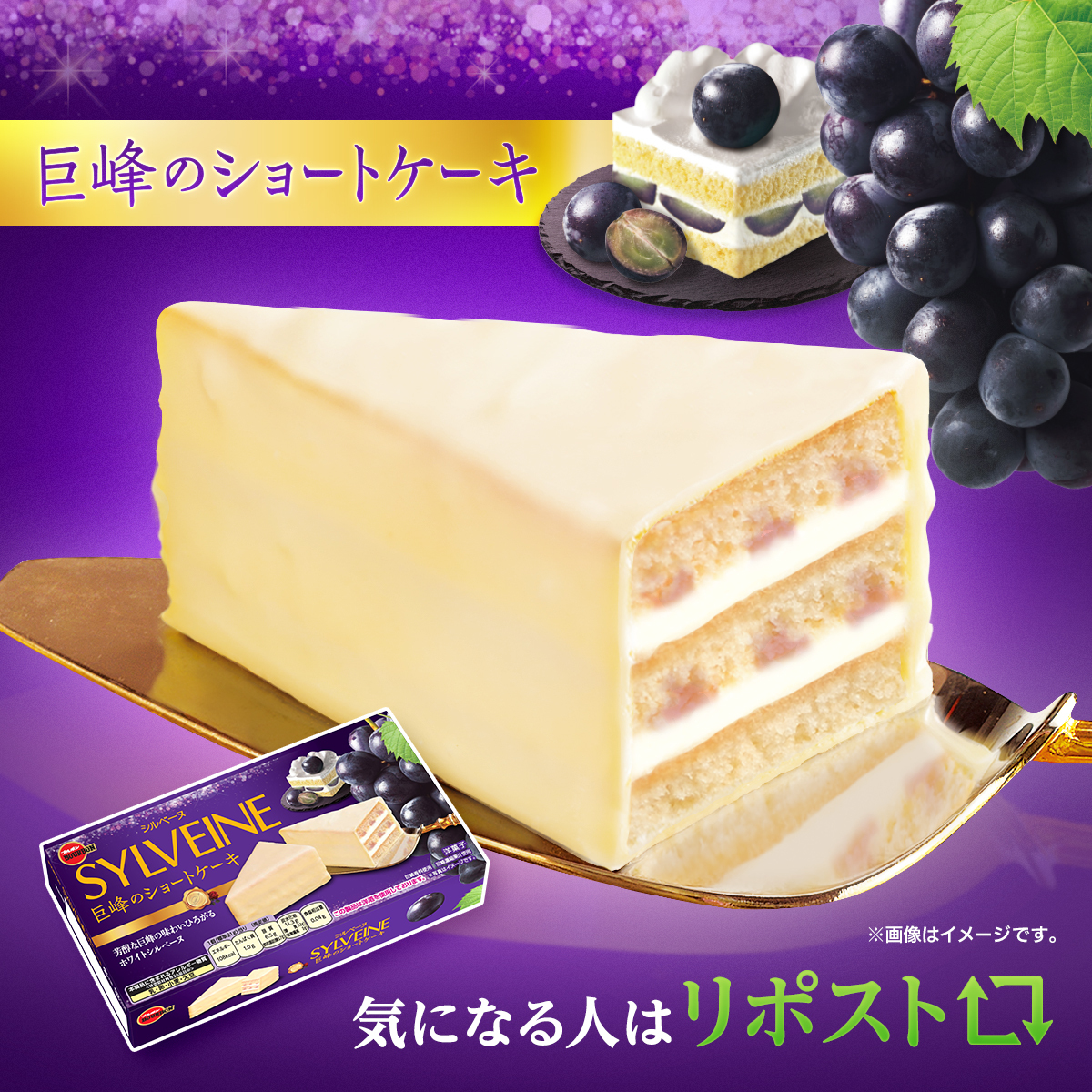 Bourbon_JP's tweet photo. ✦･ﾟ🍇───────────🍇･ﾟ✦

　　　　　　シルベーヌ
　　　巨峰のショートケーキ🍰

✦･ﾟ🍇───────────🍇･ﾟ✦

バニラケーキに香り高い巨峰ソースと
クリームをサンドしたホワイトシルベーヌ💜

気になる人はリポスト🔁 https://t.co/c4F5JTfVE4