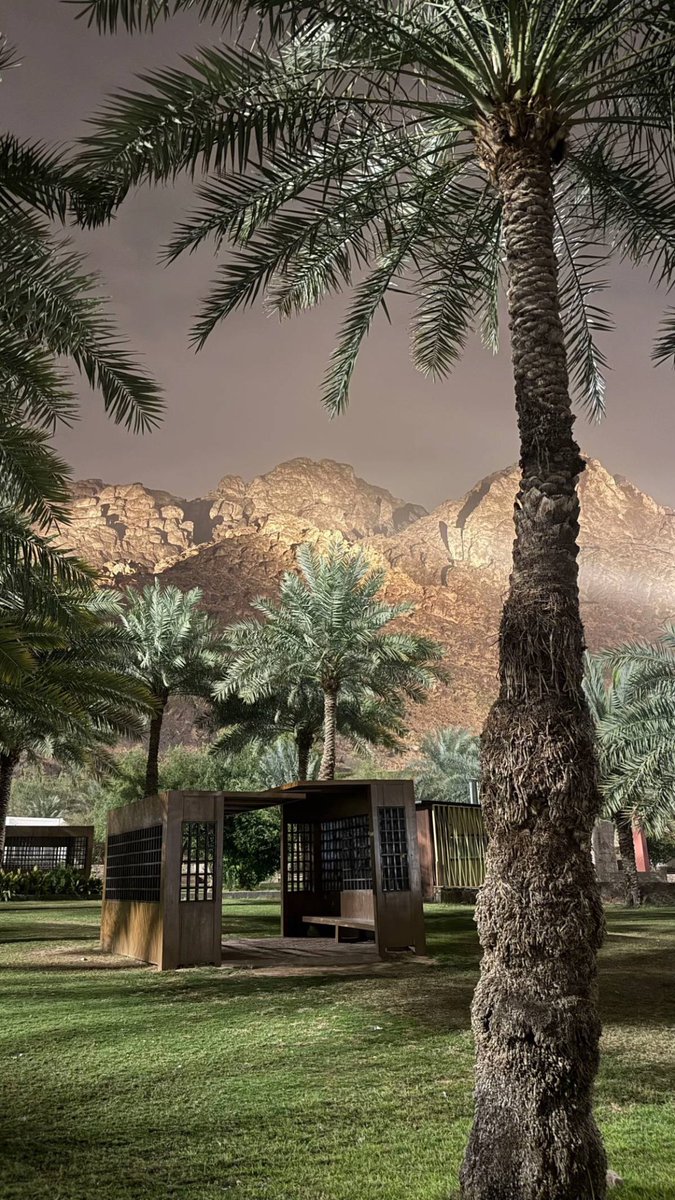 thekingdom_ksa's tweet photo. جبل أحد ..⛰️🤎
قال عنه النبي ﷺ : (أُحُد جبل يحبنا ونحبه) https://t.co/OY8RCVq1LQ