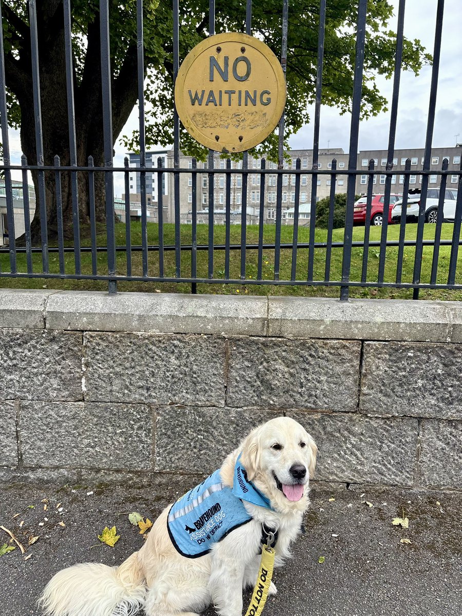 lyn_golden's tweet photo. Feeling rebellious!
#NoWaiting #rebel #rebellious https://t.co/OVySSMav0t